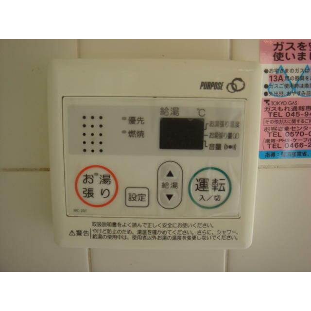 ビラツボサキ その他6