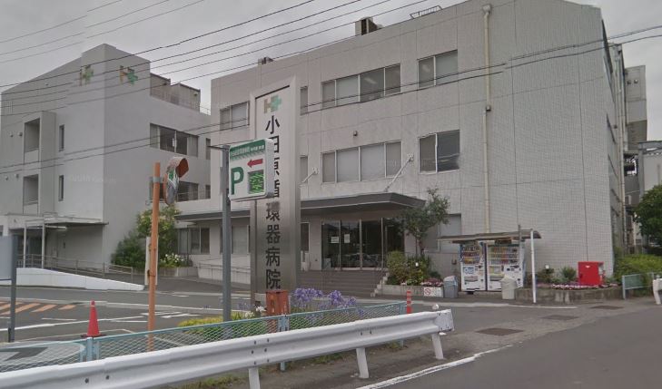 グレース奥津 周辺画像6