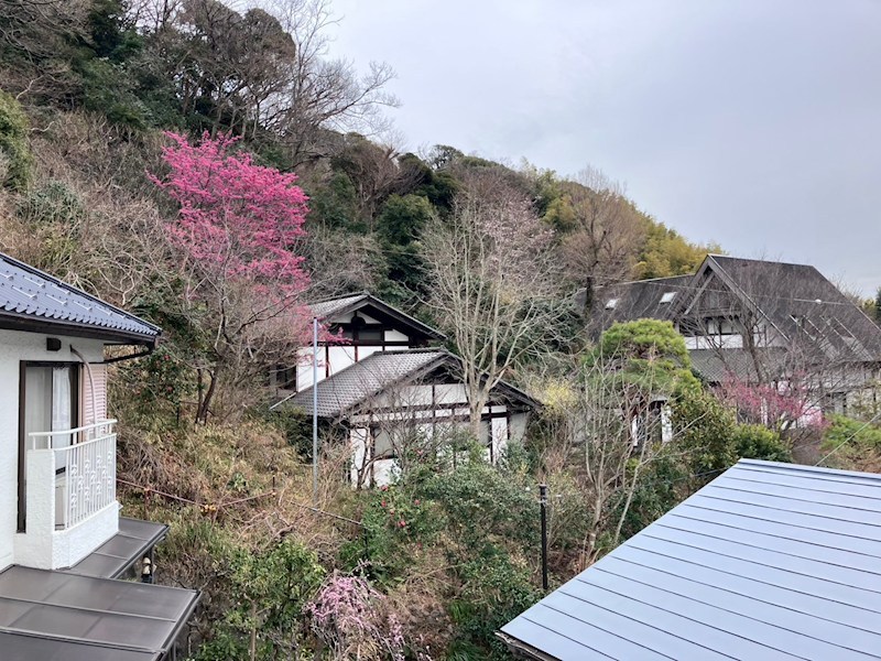 コスモハイツ  その他1