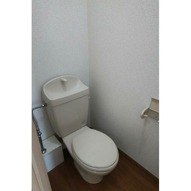 カワセミ その他2