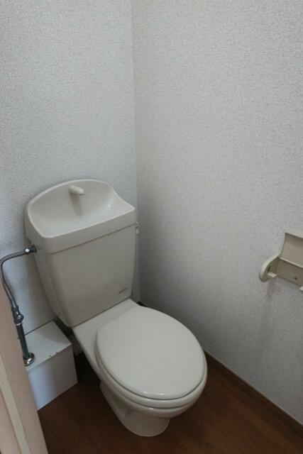カワセミ その他2