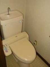 グレースカシワ その他2