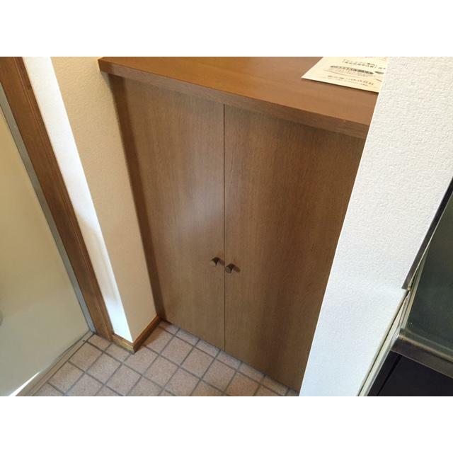 リバージュアツギⅡ 玄関