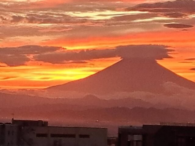 グレーシア湘南江ノ島 その他7