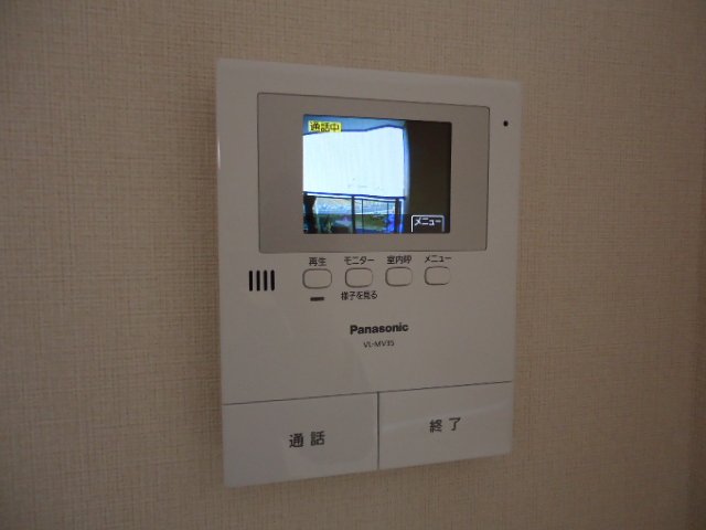 サルビア その他3