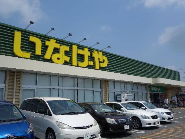 サルビア その他外観6