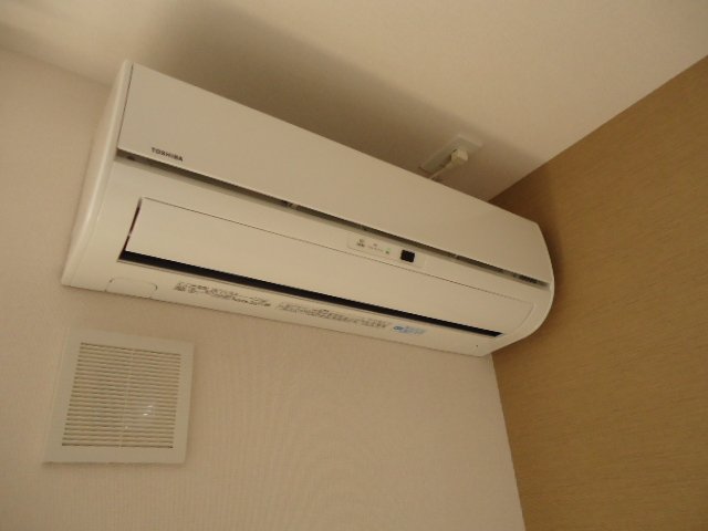サルビア その他14