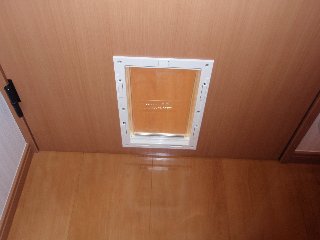 スピッツ その他9