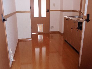 スピッツ その他10