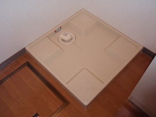 スピッツ その他11