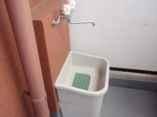 スピッツ ベランダ