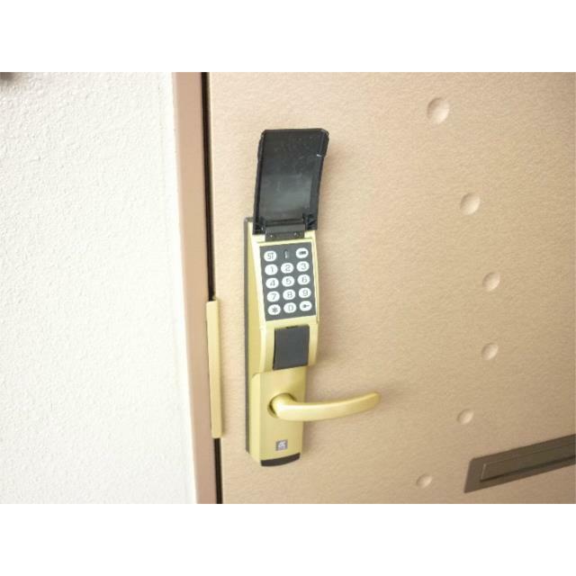 ベータ その他2