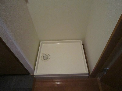 湘南コスモス その他1