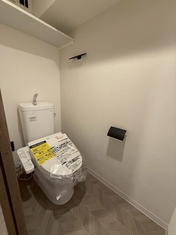 Dracaena 湘南台(ドラセナ　ショウナンダイ） その他2