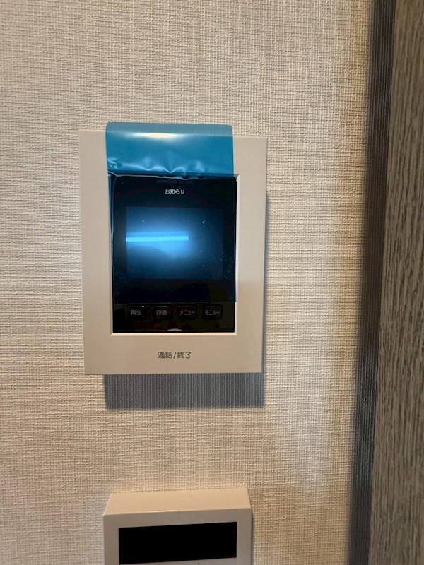 Dracaena 湘南台(ドラセナ　ショウナンダイ） その他3