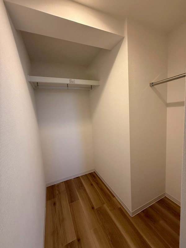 Dracaena 湘南台(ドラセナ　ショウナンダイ） その他4