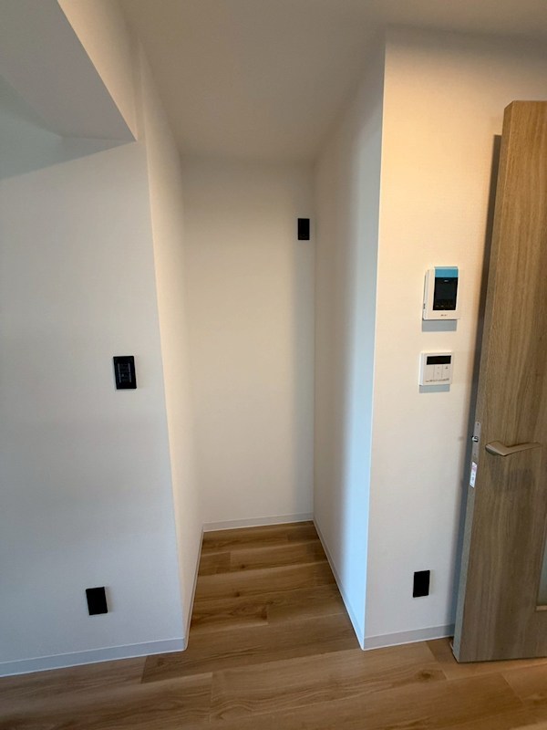 Dracaena 湘南台(ドラセナ　ショウナンダイ） その他5