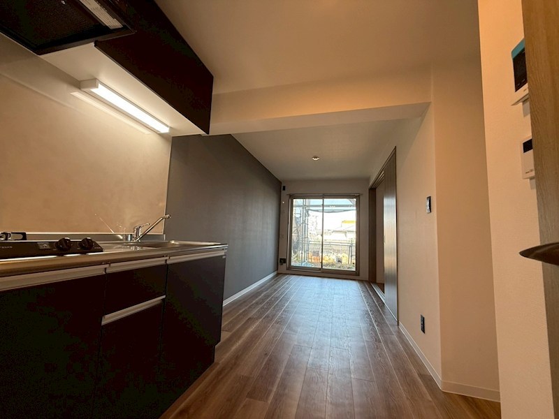 Dracaena 湘南台(ドラセナ　ショウナンダイ） その他8