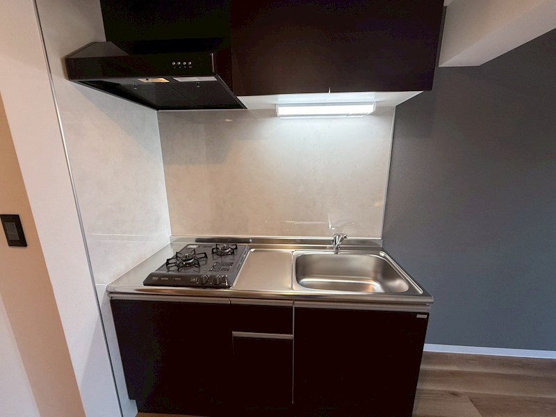 Dracaena 湘南台(ドラセナ　ショウナンダイ） キッチン