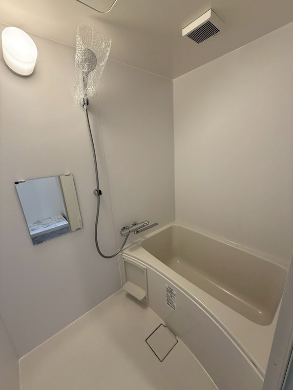 Dracaena 湘南台(ドラセナ　ショウナンダイ） 風呂画像