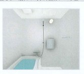 Dracaena 湘南台(ドラセナ　ショウナンダイ）   風呂画像