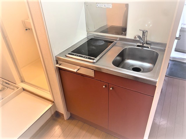 レオパレスカトレア その他11