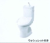 Dracaena 湘南台(ドラセナ　ショウナンダイ）   その他2
