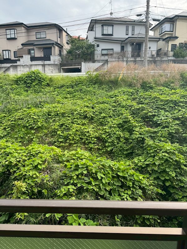 ホーユウパレス秦野Ⅱ その他4
