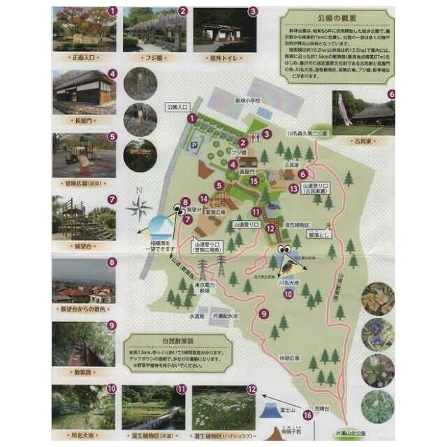 ＫＡＰＡＬ　ＥＮＯＳＨＩＭＡ 周辺画像7