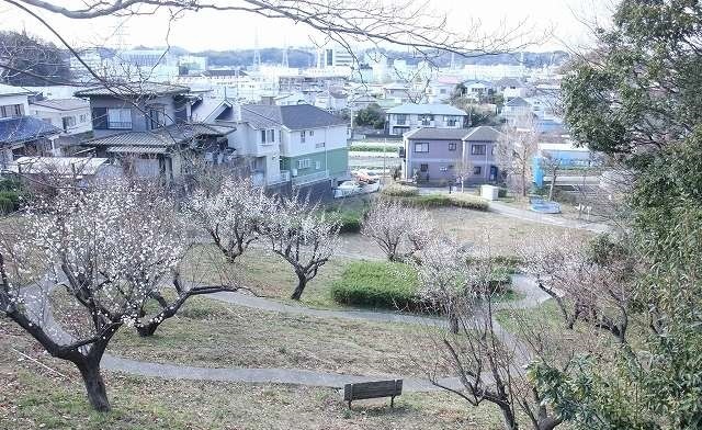 エレガンテ三番館 その他外観5