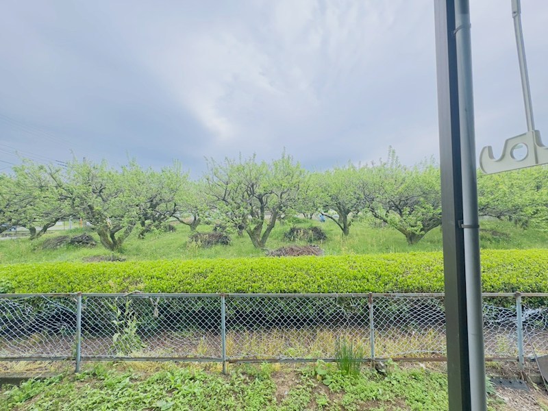 コーポシャルム その他4