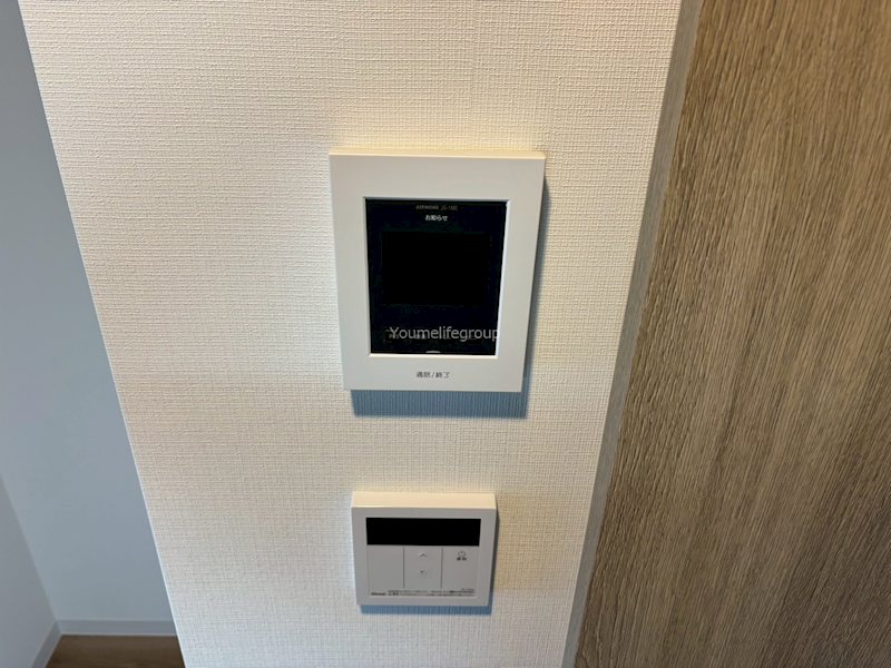 Dracaena 湘南台(ドラセナ　ショウナンダイ）   その他1