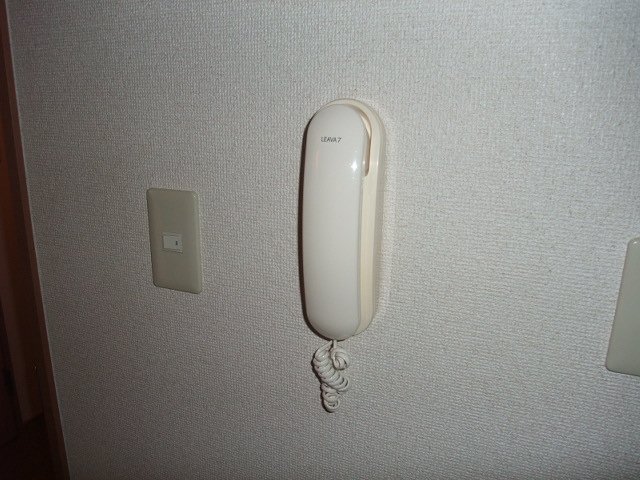 ルピナス その他1