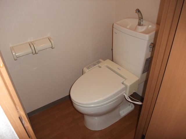 ルピナス その他4