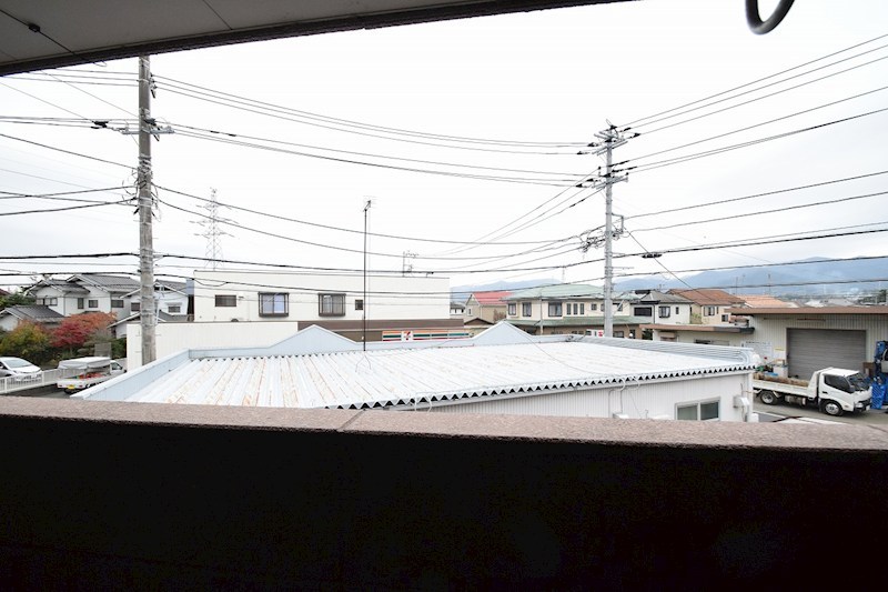 ルピナス その他5