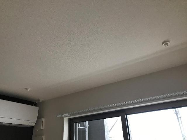 ウエイド　フルスⅡ その他9