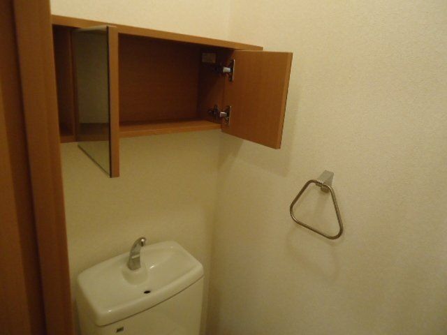 フレンドシップＳＨＯＮＡＮⅡ その他10
