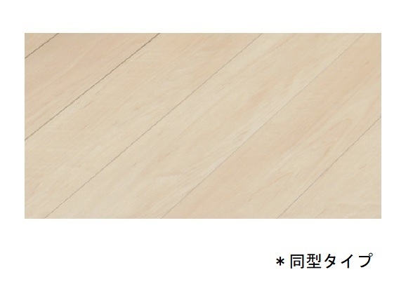 スアヴィス平塚八千代 その他10