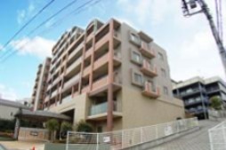 ロータリーパレス藤沢 914号室 外観