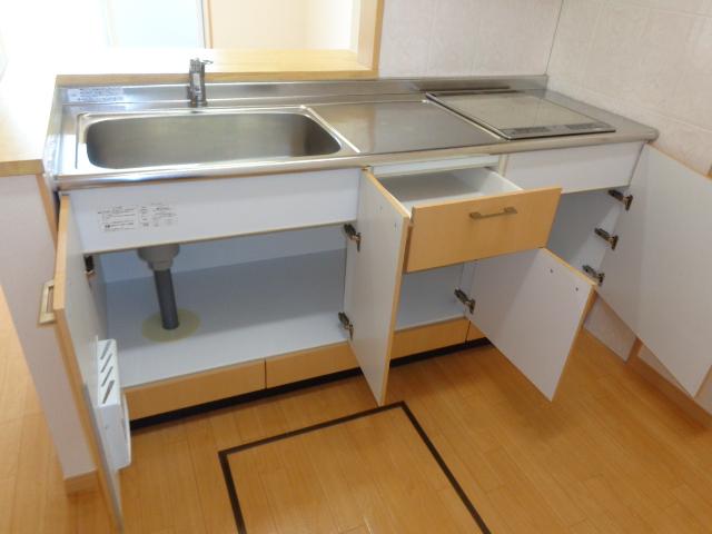 ニュースターフォレスト その他16