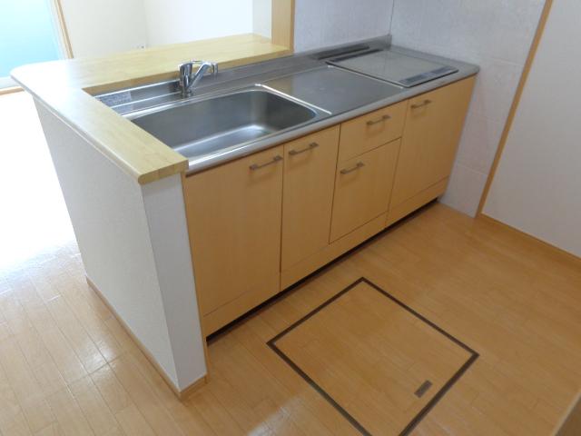 ニュースターフォレスト キッチン