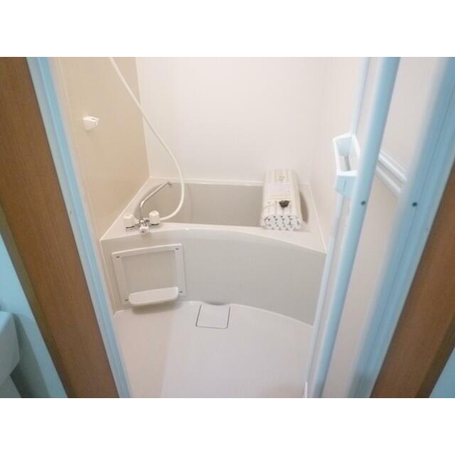 フォルテシア 風呂画像
