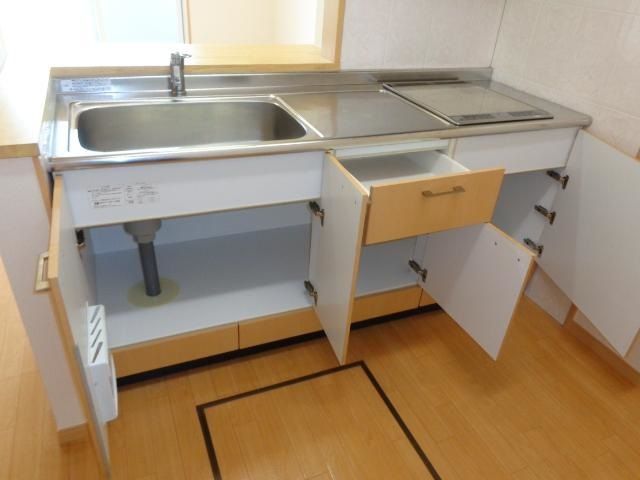 ニュースターフォレスト その他13