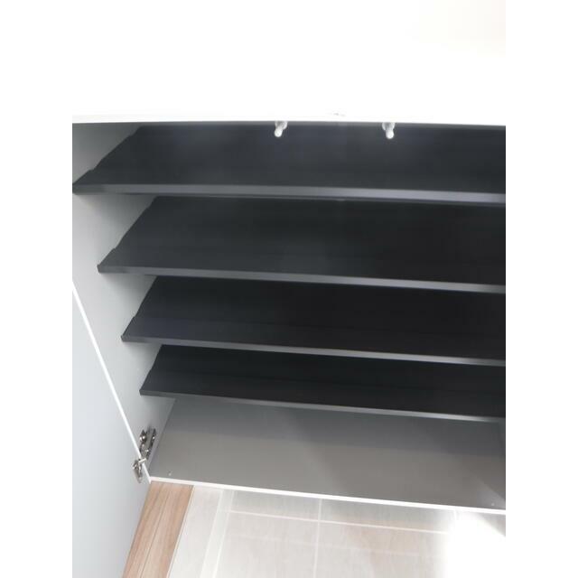 Ｔａｌｉｅｓｉｎ　ＦＤ その他1