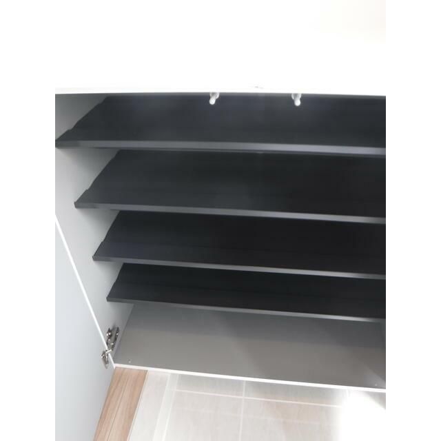 Ｔａｌｉｅｓｉｎ　ＦＤ その他1