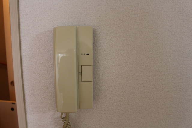DUPLEX BLOOM A その他5