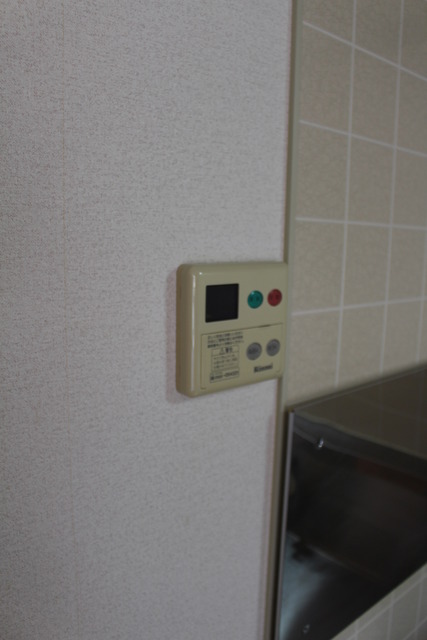 DUPLEX BLOOM A その他10