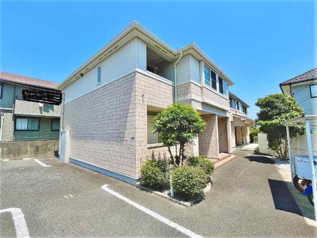 ゼルコバ・セラータ その他外観1