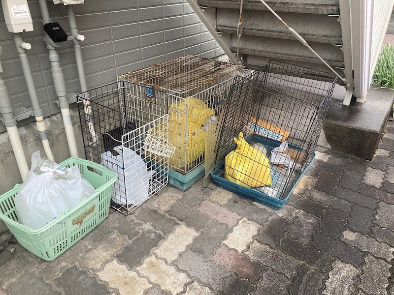 セラフリーデン その他外観2