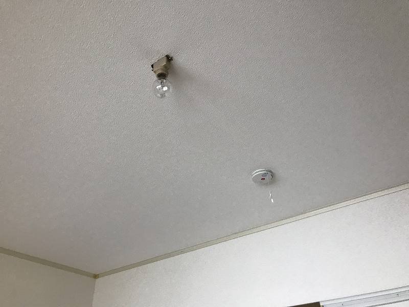 ラークパレスⅡ その他23